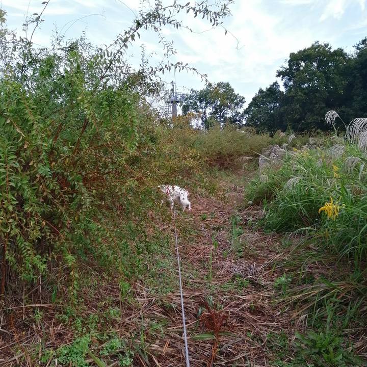 A7855ada 8fcf 4f9e bf05 e4c0efc46568 1603157757181