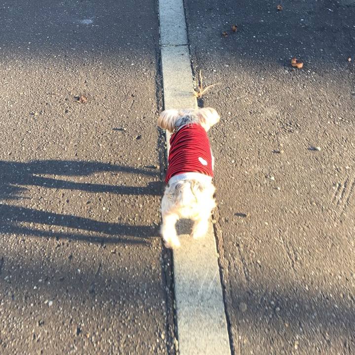 A785bd29 1b30 42fa ae30 d1a690444c91 1540005444380