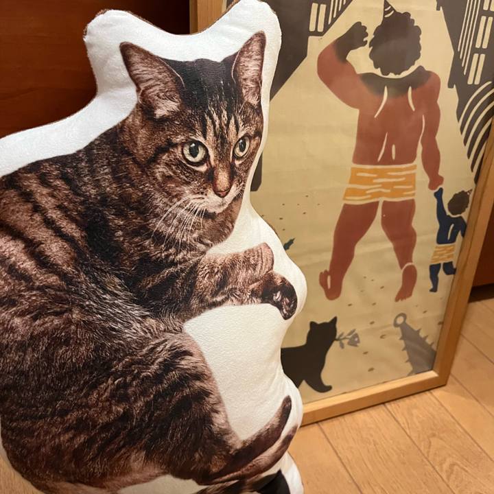 A785c2c8 36c3 4ebe 9b44 d7334ca9586a 1770067482835