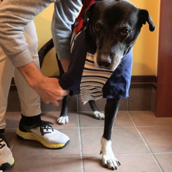 A785c708 21b6 4ec7 8657 071c60914336 1763252877933