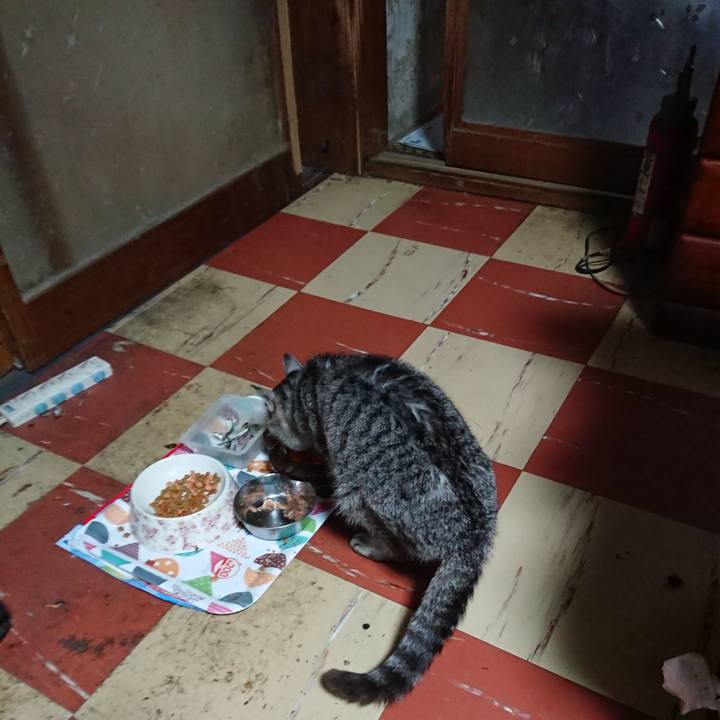 A785e032 0ddd 488f 98c0 4022523f7e89 1589577352839