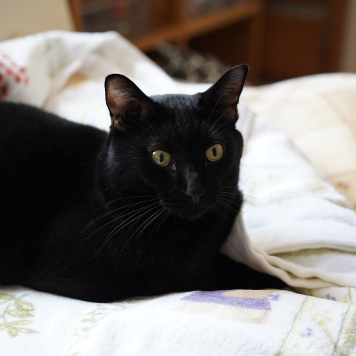 A785e583 ae93 42f8 b832 4f84948e0b52 1567780238316