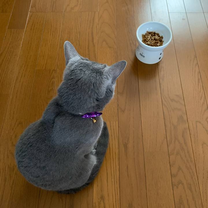 A7861fc6 dbef 48ab 9a52 0b10754b546e 1629675708742