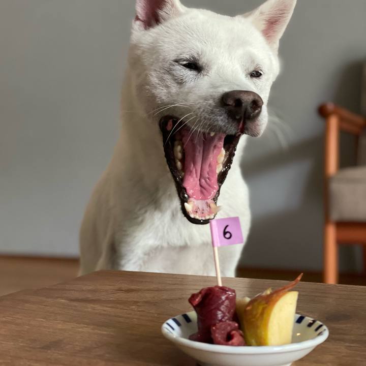 A7863c8d ac4e 4c10 b079 3b66b455a05f 1694318245694