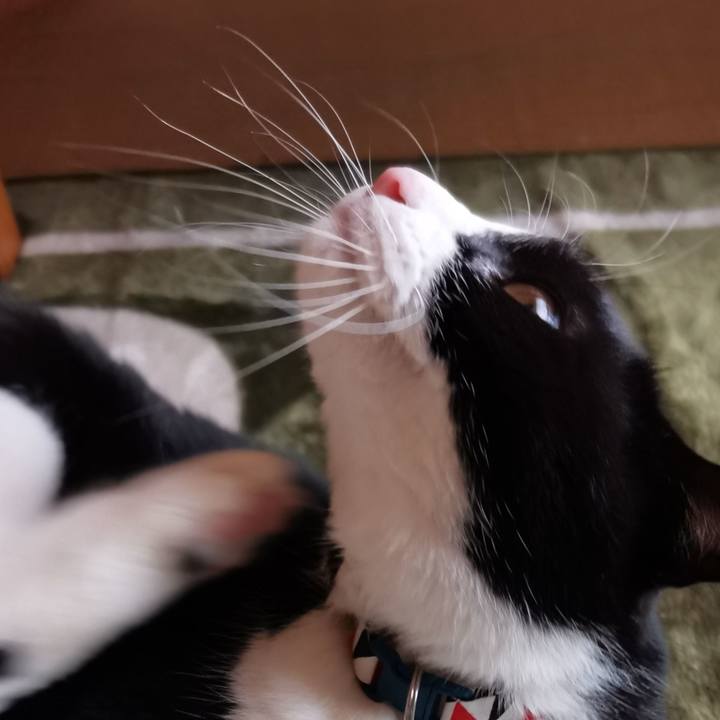 A786487f fd83 4ec6 9dd2 5d4ef9ee6529 1613919601843