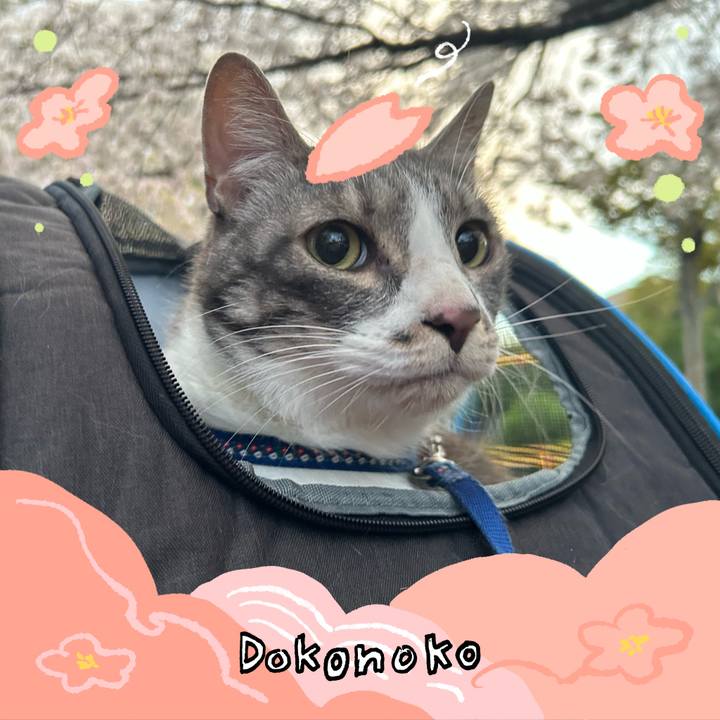 A78657c3 46da 4d8b af13 2b4434fe860d 1775657054260