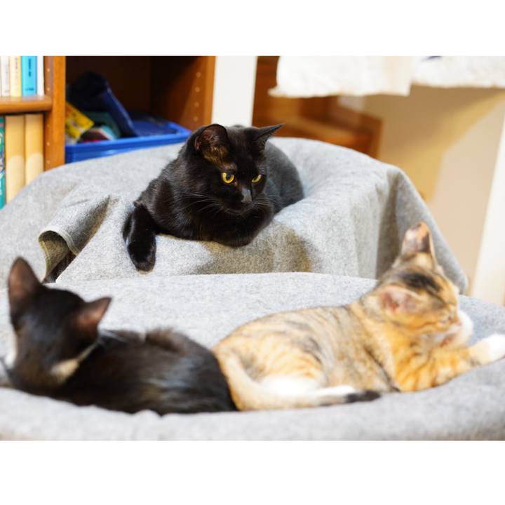 A7868b9f a39a 4b21 988f 2f7ca09f3322 1568104701310