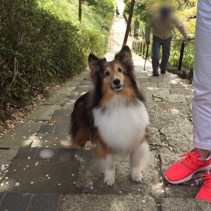 A786b200 38b4 4dcc 9331 b41c4401e374 1535164688022