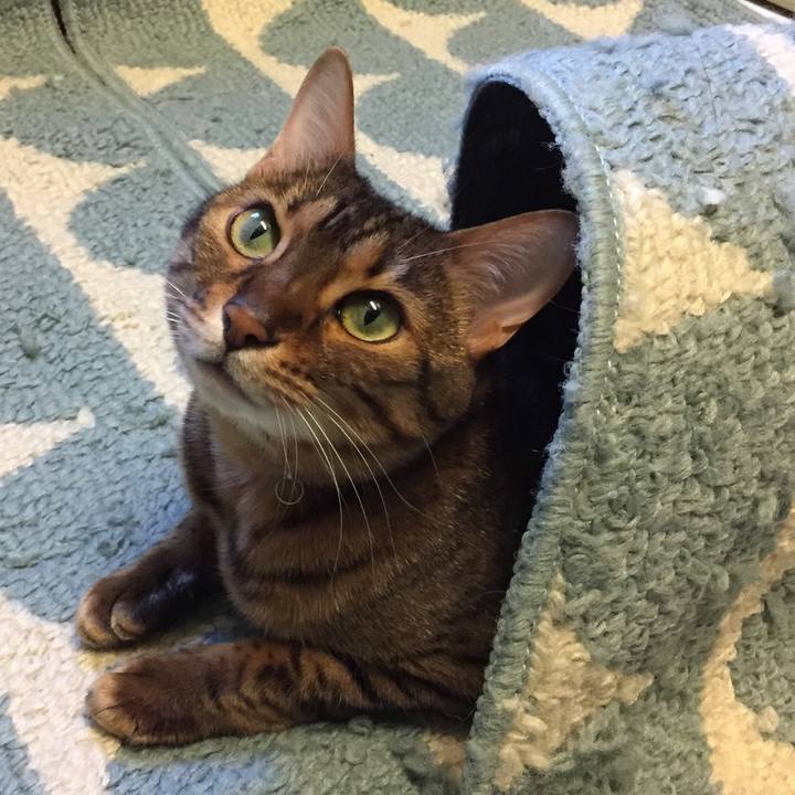 A786ca84 f34d 4843 bb5d a8c0fb16403e 1517477550497