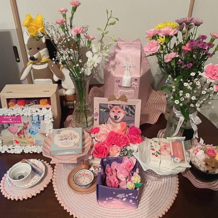 A786ce10 2910 4c81 a188 f198498e6a17 1711293389342