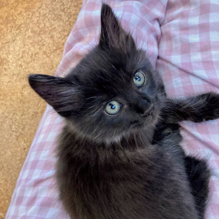 A786e121 5b99 44c1 84df 3e7a157b7dd3 1698281579538