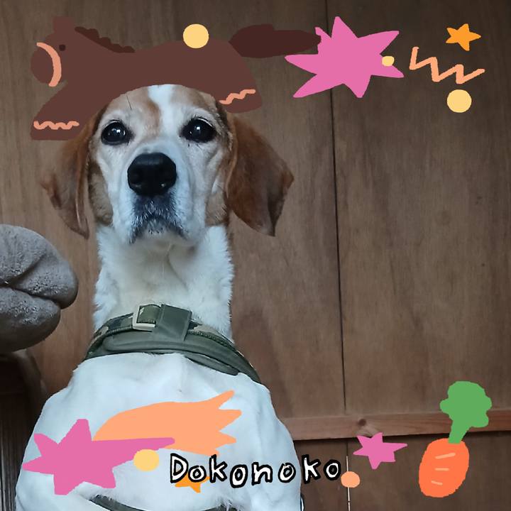 A7871488 7539 4ead b5b6 8706a63a4818 1772163784921