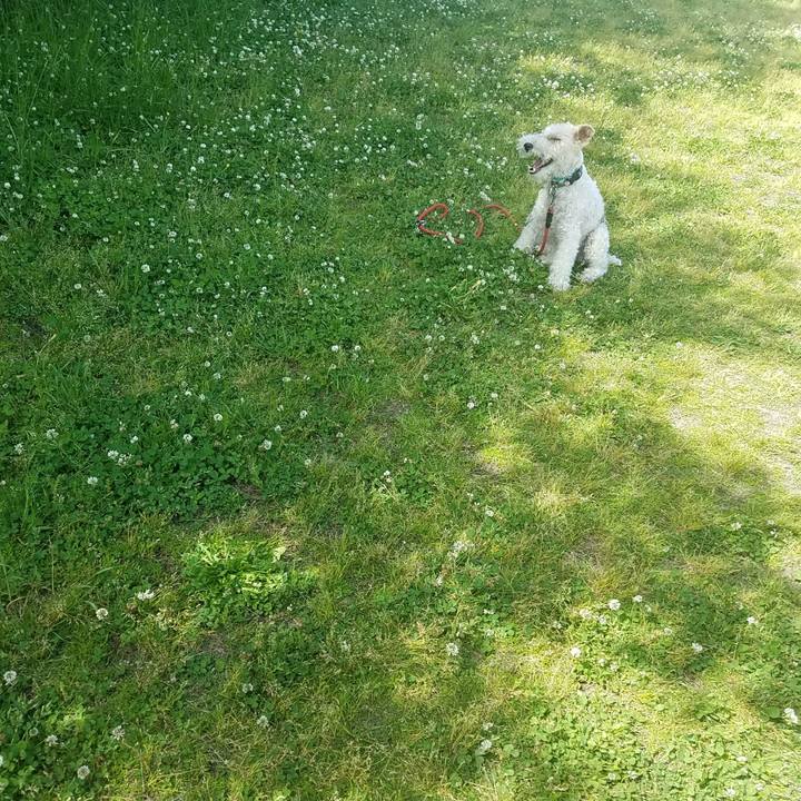 A7871972 31c0 41ec b4b8 3a6298cc81fe 1526943309527