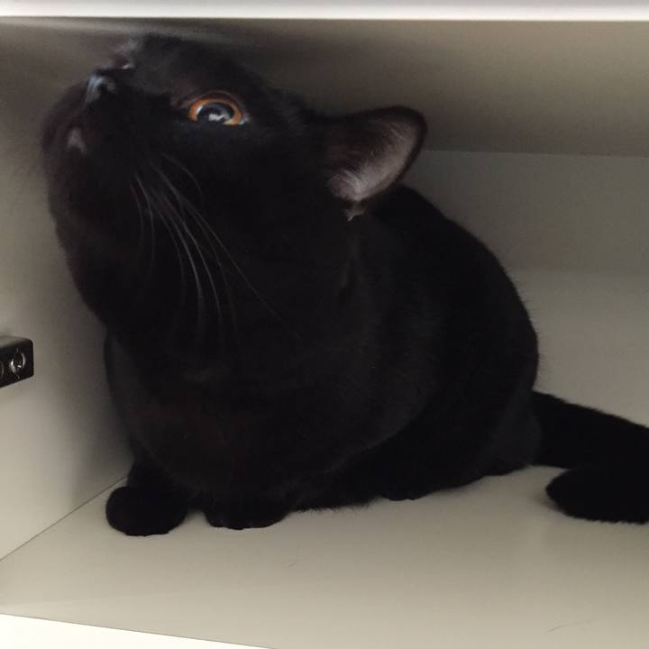 A7872ef6 baa1 4e7a b8f2 1b868bf15b46 1510466041892