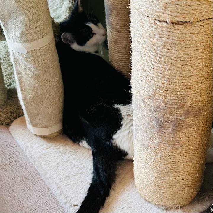 A7873b7b 7599 411d 9697 aa48d9cef20e 1725237182927