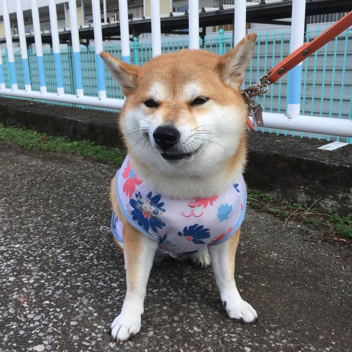 A7873d1c 78cb 428c 8170 277dd28c1c42 1539150870079