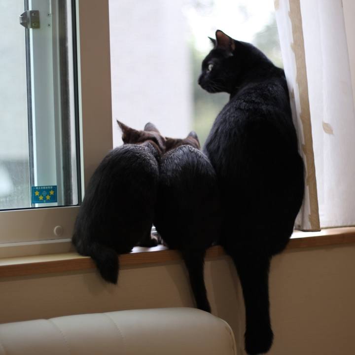 A7880f7e 6fae 404e 92b8 4a6657ab7d74 1619014532376