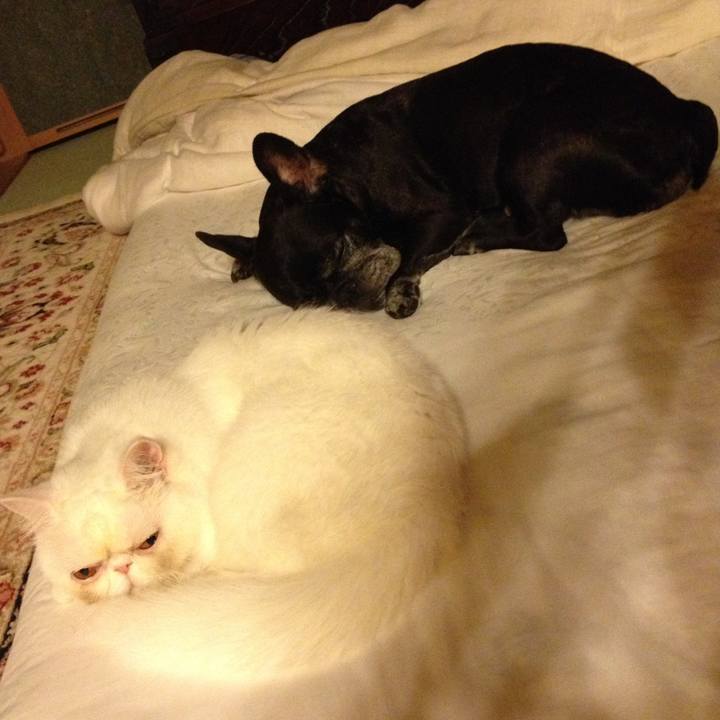 A7885366 a44b 403e 9958 62bdcc068e09 1597588851581