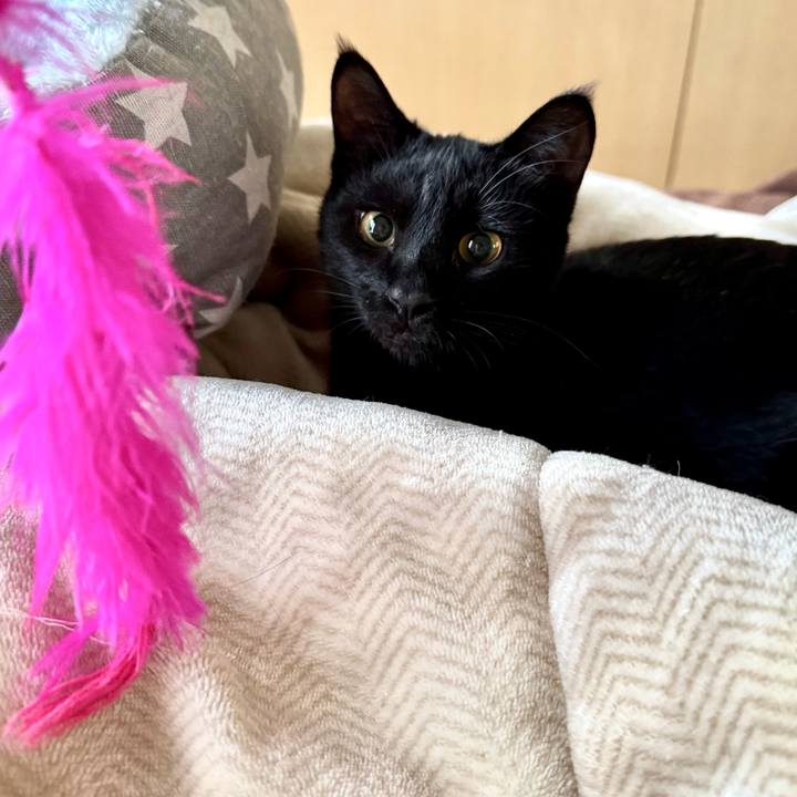 A788537c 08b5 4b72 b619 c803664b5524 1732403661101