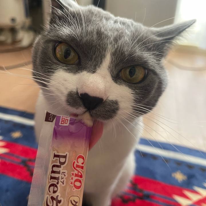 A788d8d1 9d1b 433d 9b83 38383000f26c 1669012169383