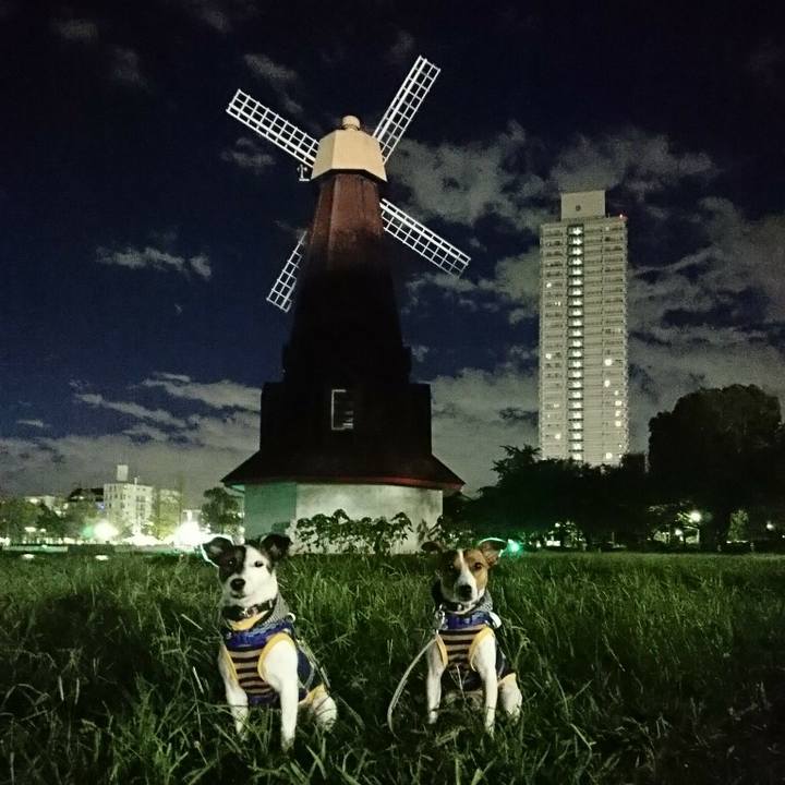 A788dd0f 36d6 4612 9b6f 7b5fef7fd18b 1534507671456