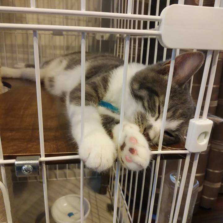 A7890b23 6f05 4577 a29b fadfeb0851c3 1567121531435