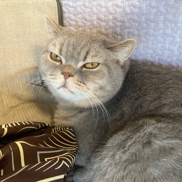 A789afdb fd83 4f3d 8777 8959246c66cf 1768104272983