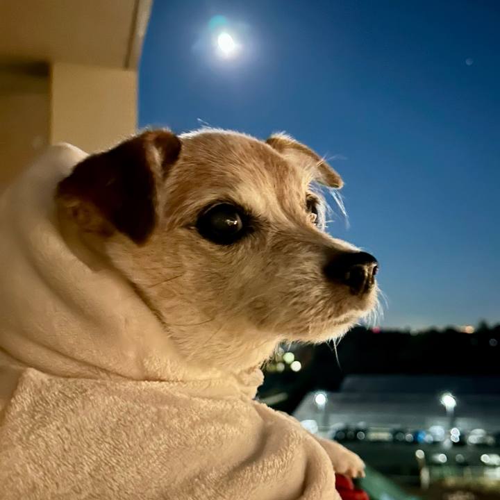 A789c402 fbad 4513 b9c1 f64880bf3b7a 1736854206188