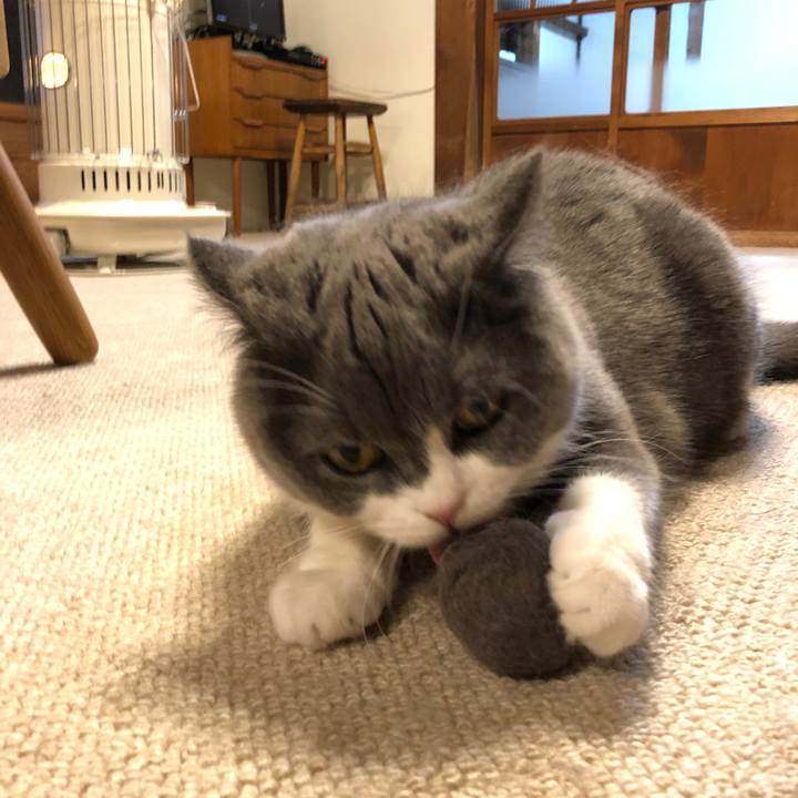 A789cecb e78e 45e0 a4bb eb170feaa7b7 1556407165011