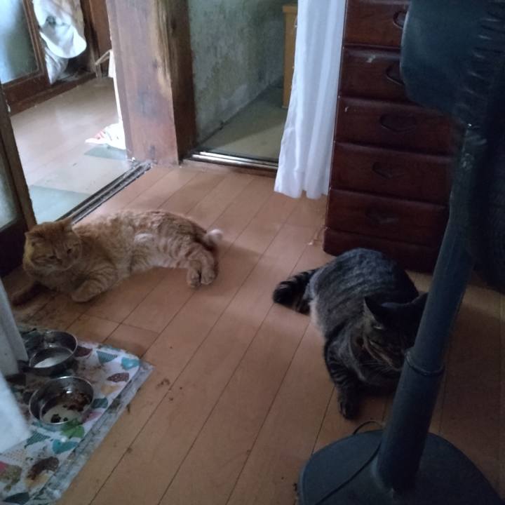 A78a061f 7086 4b3f b85b a9b9512a0977 1691310599855