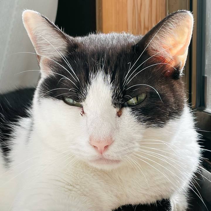 A78a2abf cf56 465a 9a65 28cb512f3dfe 1634001400683