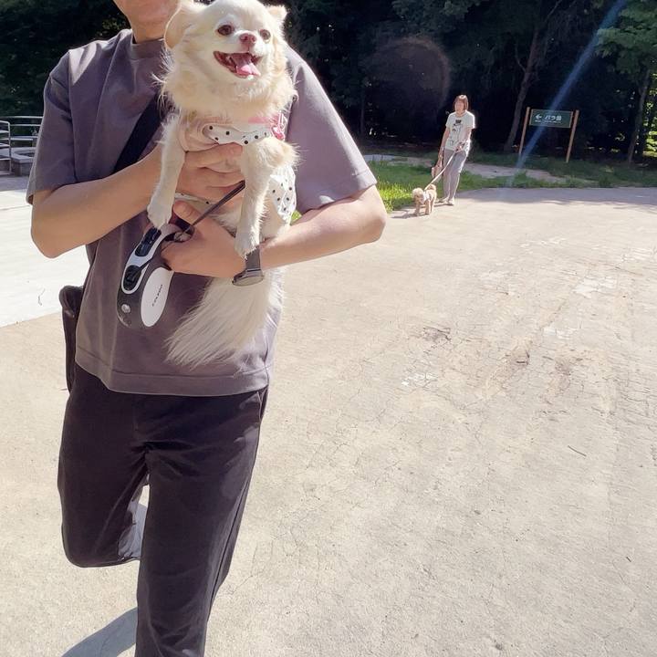 A78a60f8 7587 4d4b a9eb cea5e0b5746f 1752992917982