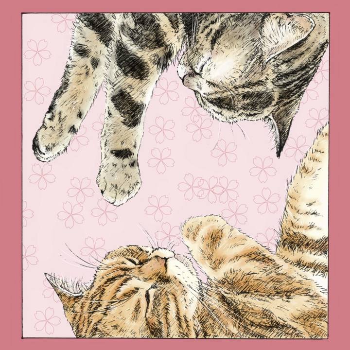 A78a644a 47a9 4063 8ad3 1f8af3ab0a13 1583159245838