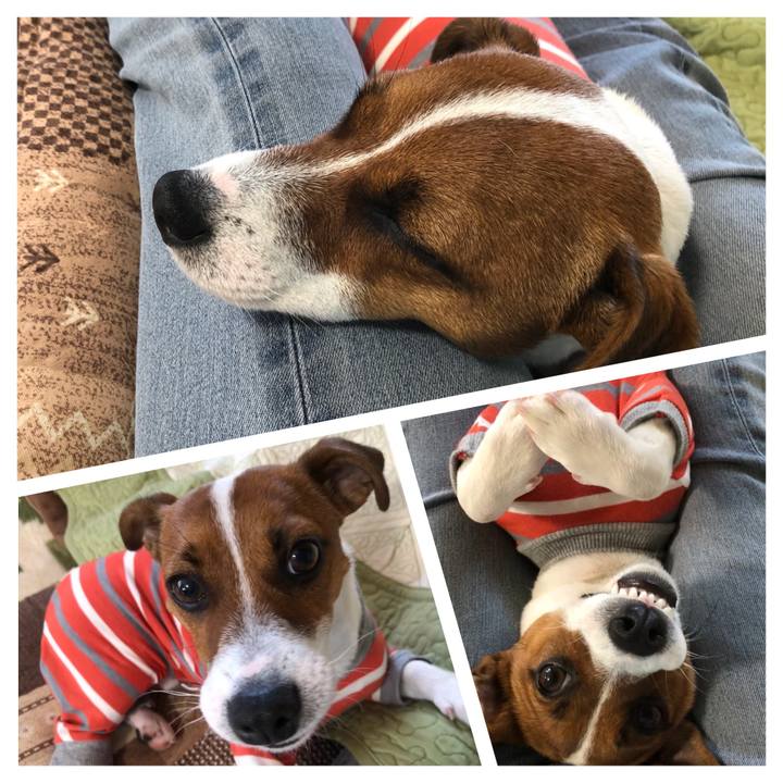 A78a8f18 0321 4687 8445 a61bbd88cfaf 1527206385396