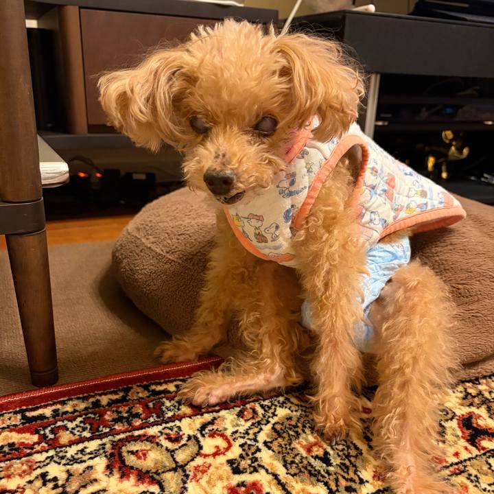 A78a9992 d768 45f1 b591 724111441d8f 1769665859860