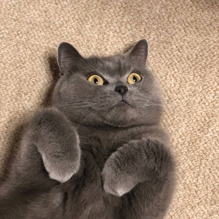 A78aacf7 d960 4977 82eb b74a549a243d 1580702308915