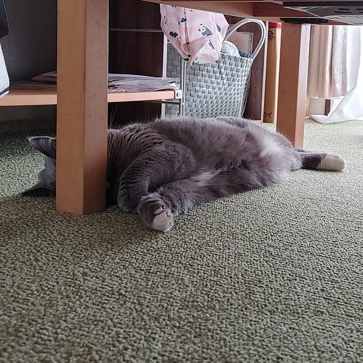 A78adcb6 dbc1 4a6c b15f 9411edff0bc9 1629606676516