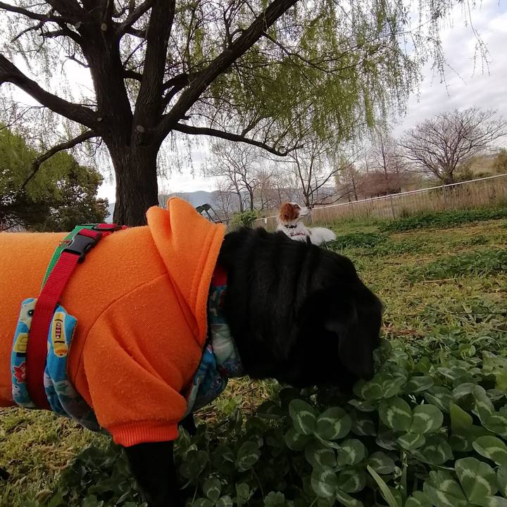 A78b6329 dd7e 4403 ac79 ffbc759eef3c 1616549878954