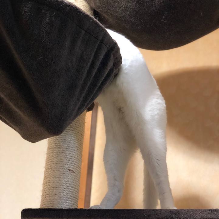 A78b8e57 afe0 4b0e 9523 30a8b07fea92 1538116031191