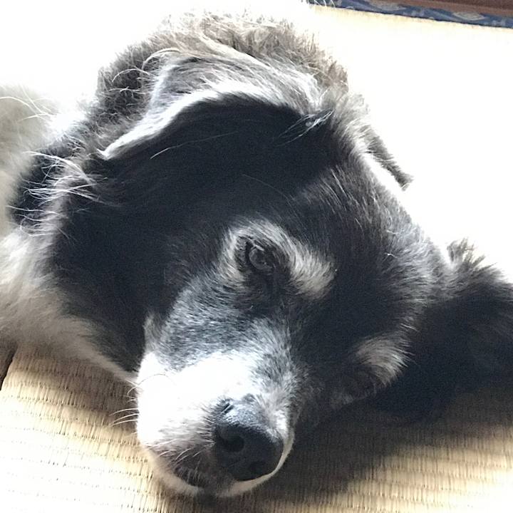 A78bca4c 43f5 4d59 ac66 b05c284f4f05 1538738087541