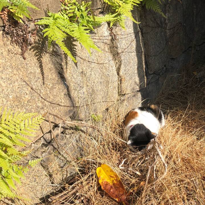 A78be03b 85a9 4439 89fd f6f1cef81121 1605927751168