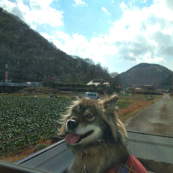 A78c0bce 0f8a 4fdb a8f5 d7a5b3438bb5 1581698897393