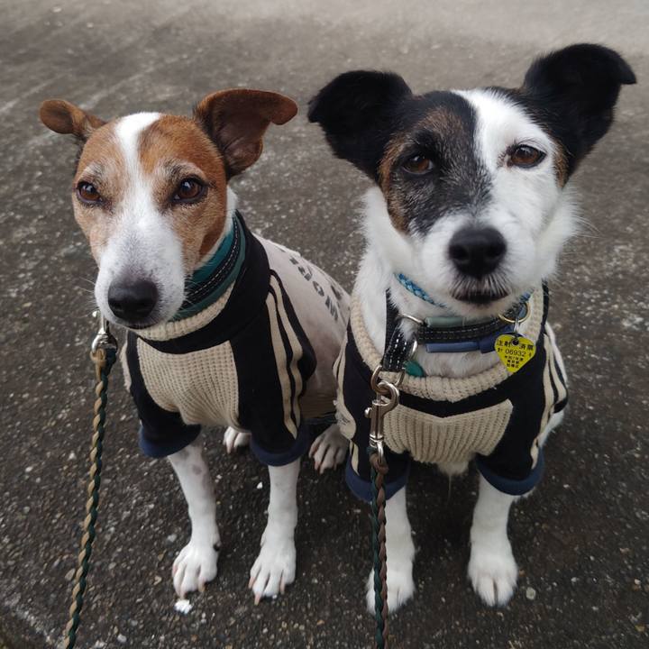 A78c286e 73b3 41b5 b8f9 beb7554d2b07 1760738592567