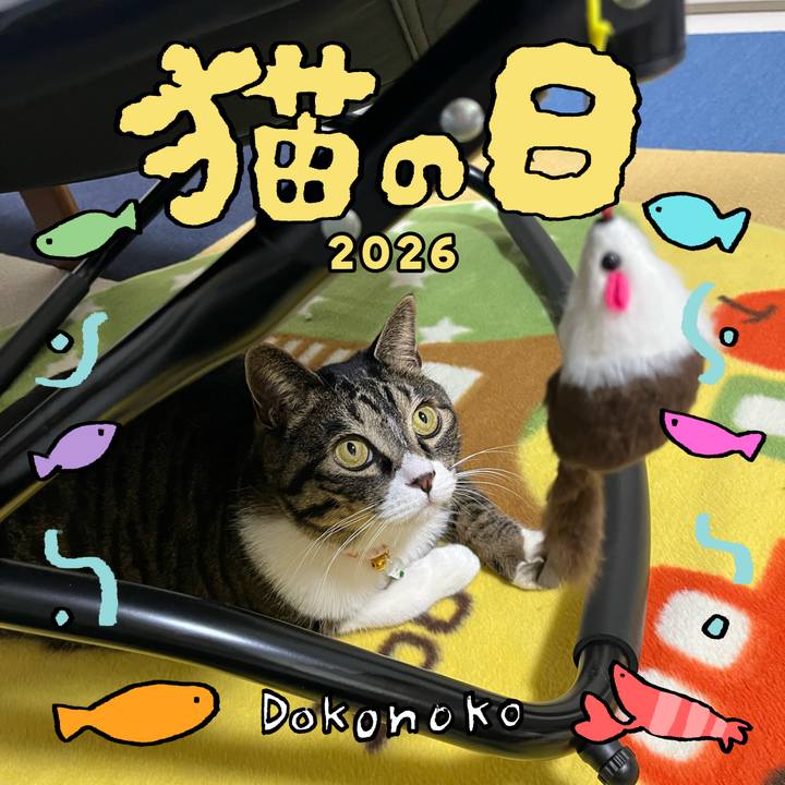 A78c2af8 4d50 4de3 9997 066905c2f39b 1771722684739