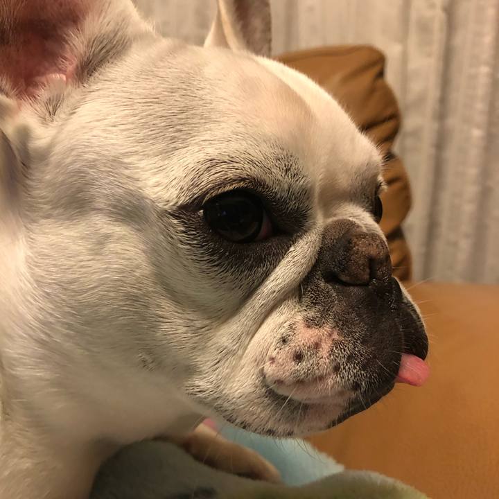 A78c2fa4 484c 4e9b 840d c287fb63174e 1546776833295