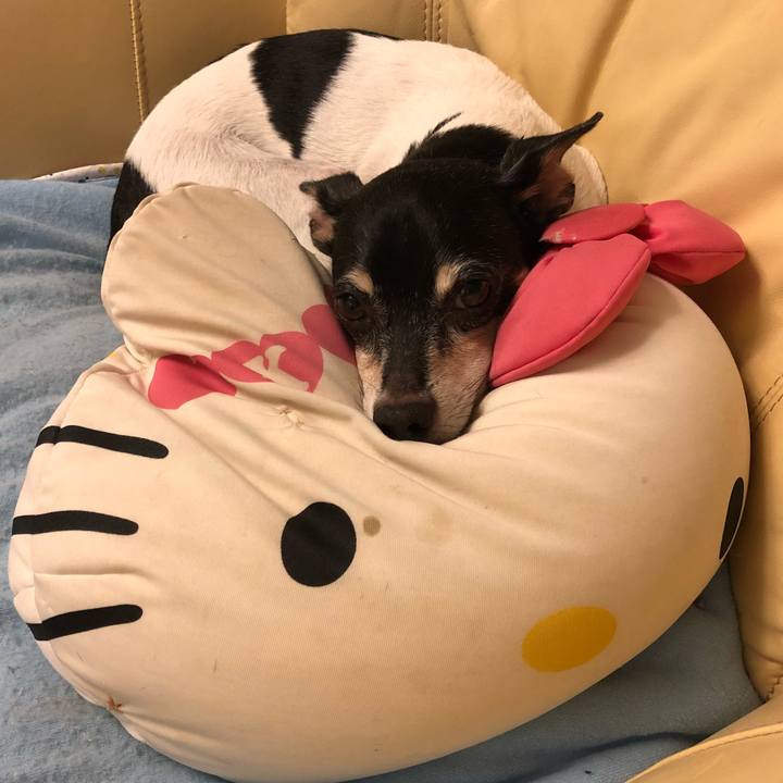 A78c50ba 3522 43cc 818d 5f594adc30bc 1536847848586