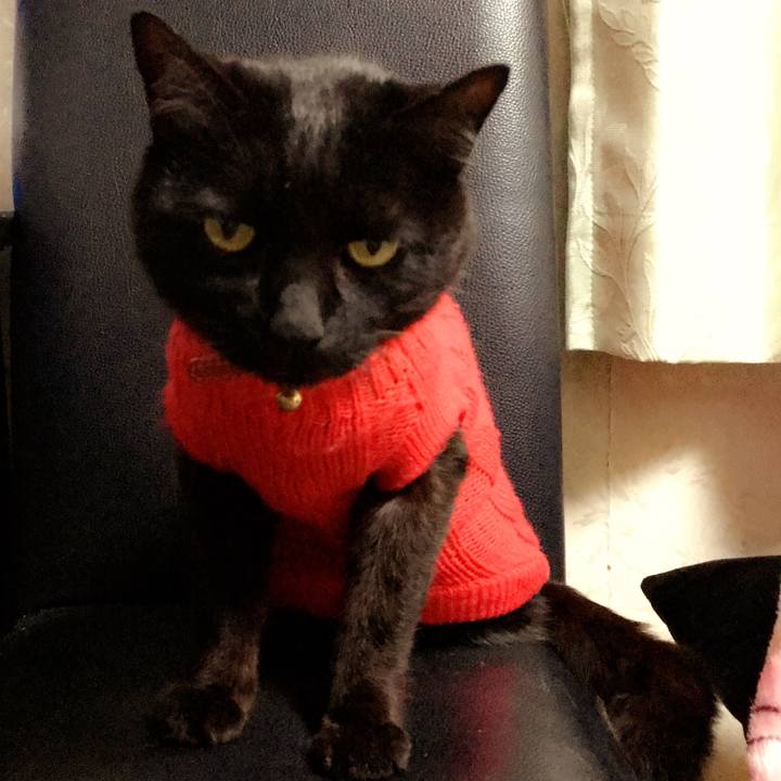 A78c5c8e 951f 450d b87b 9af85da38399 1515931230735