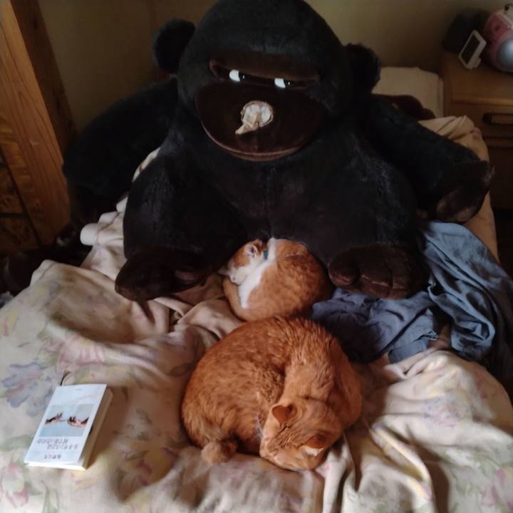 A78c7b22 2912 403b 9342 7e9a799874f7 1735443260155