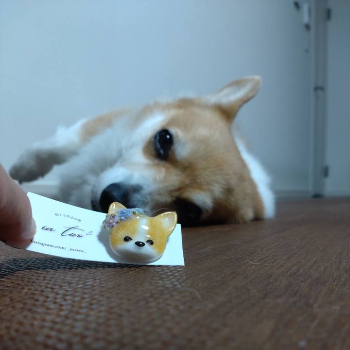 A78c8639 a8fd 4743 8f6e fbd7ebd3b918 1663502541883