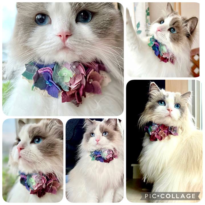 A78cac86 de65 40ec ac8f e4b625c7118e 1650783181937